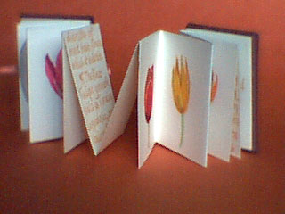 Tulip spread